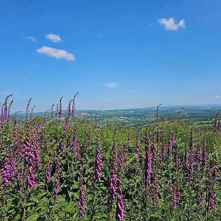 Summit Camping Kit Hill Cornwall Panoramic Views Grass Pitch From 15Pn Or Bella Bell Tent 75Pn Callington Экстерьер фото