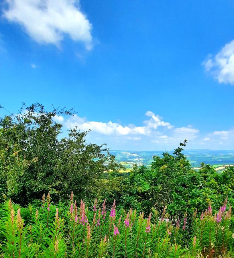 Summit Camping Kit Hill Cornwall Panoramic Views Grass Pitch From 15Pn Or Bella Bell Tent 75Pn Callington Экстерьер фото