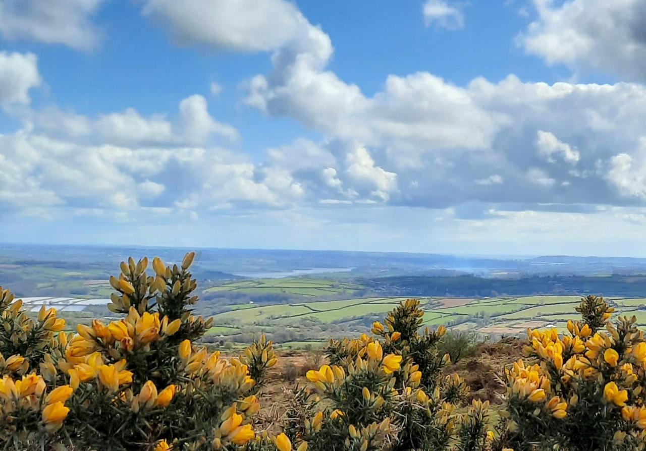 Summit Camping Kit Hill Cornwall Panoramic Views Grass Pitch From 15Pn Or Bella Bell Tent 75Pn Callington Экстерьер фото