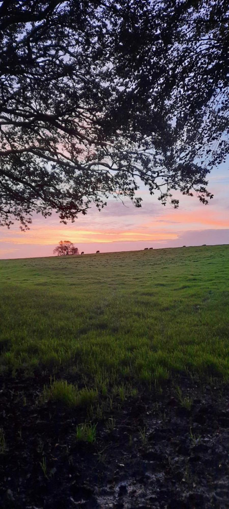 Summit Camping Kit Hill Cornwall Panoramic Views Grass Pitch From 15Pn Or Bella Bell Tent 75Pn Callington Экстерьер фото